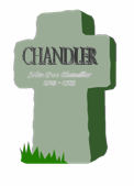 chandlergraves_logo